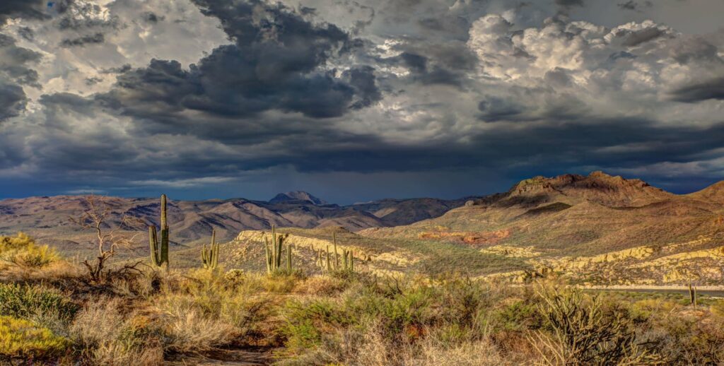 Phoenix Real Estate Development: Market Strengthens