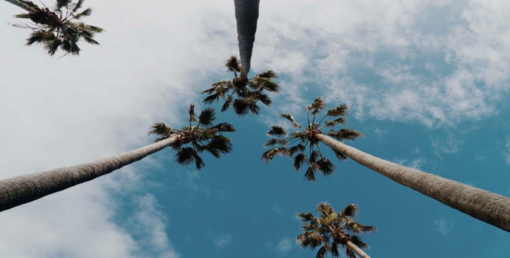 Upcoming Projects in California Are Reshaping the Urban Landscape