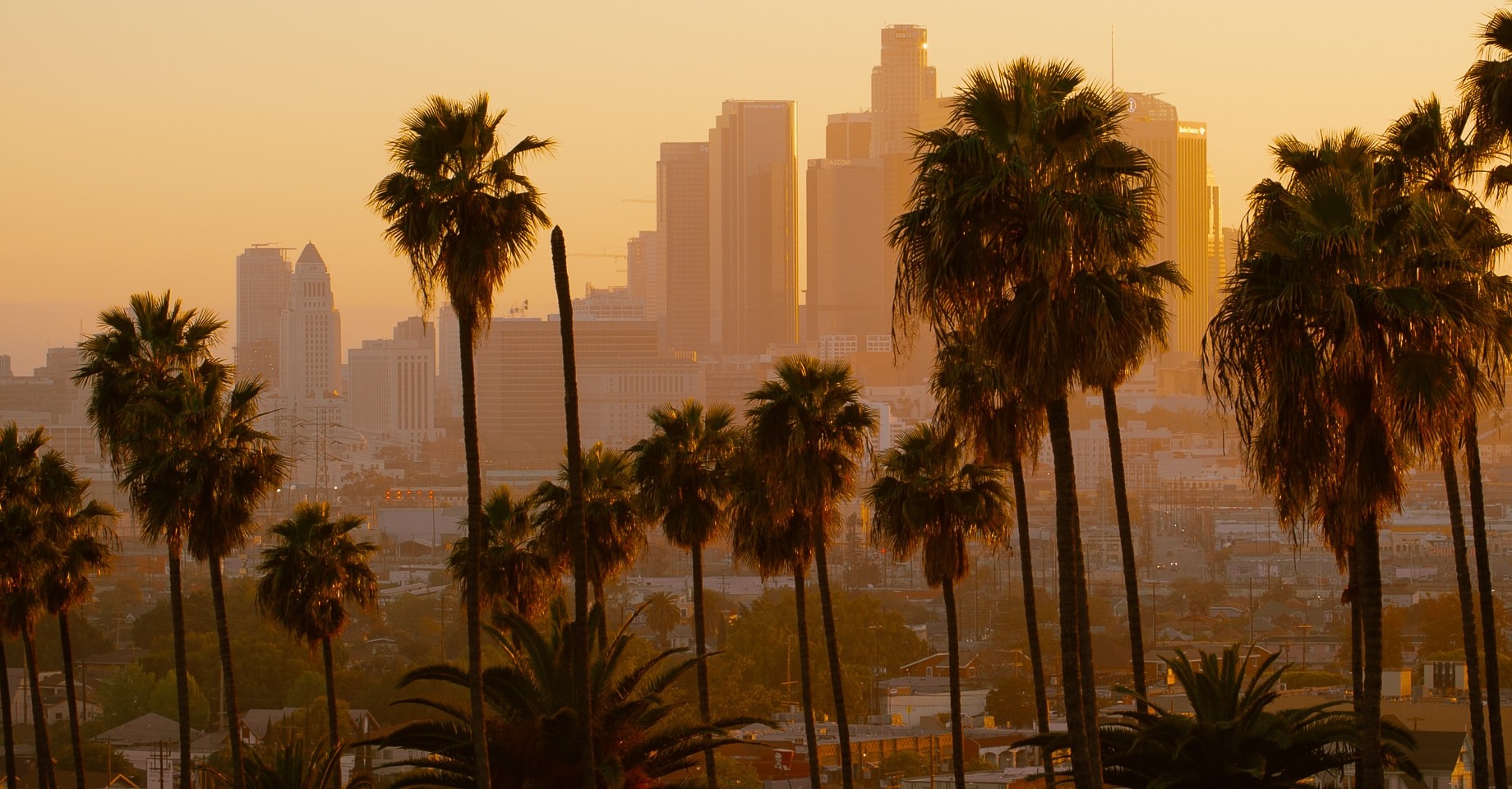 Real Estate Developers in Los Angeles Remain Hard at Work This Summer